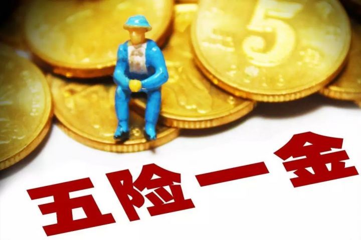 为什么社保只查到三险（社保查询只查到3险的原因）-1