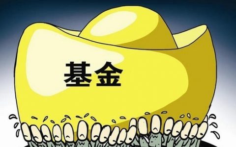 基金可以一直放着不管吗，一年不管会怎样