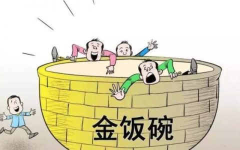 体制内工资低为什么都要进（体制内和编制内的区别）