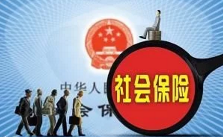 社保的具体内容是什么，社保缴费记录查询方法-1