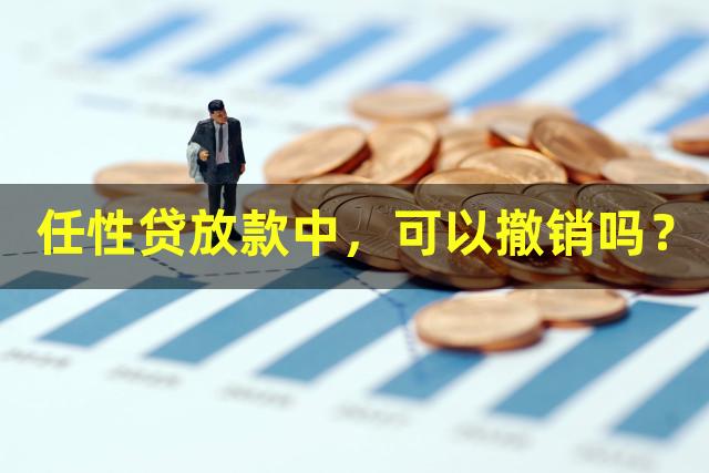 任性贷放款中，可以撤销吗？