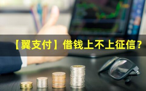 【翼支付】借钱上不上征信？