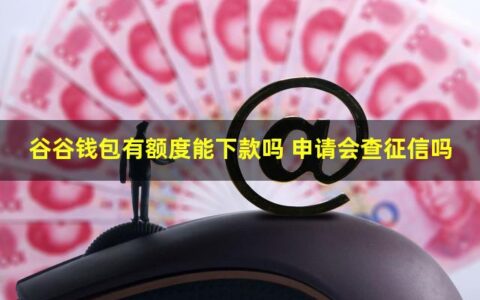 谷谷钱包有额度能下款吗，申请时不查征信