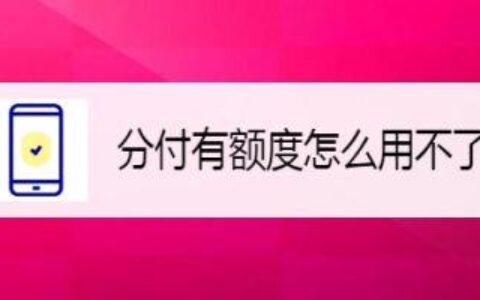 分付有6000额度为啥2000付不了？