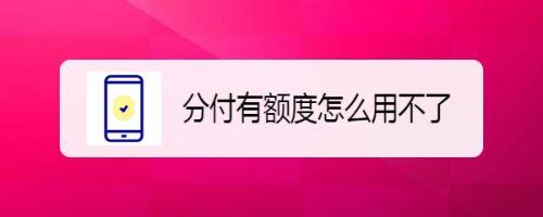 分付有6000额度为啥2000付不了？