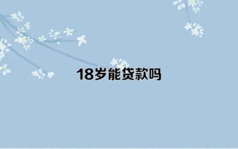 18岁可以借钱的正规平台，哪家靠谱？