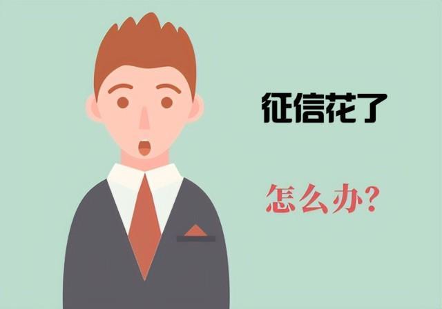 征信花是什么意思？如何避免征信花？