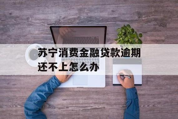 苏宁金融逾期还款怎么办？教你如何协商还款