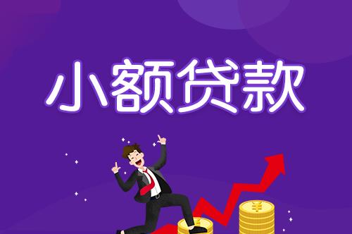 银行申请小额贷款：快速便捷满足您的资金需求