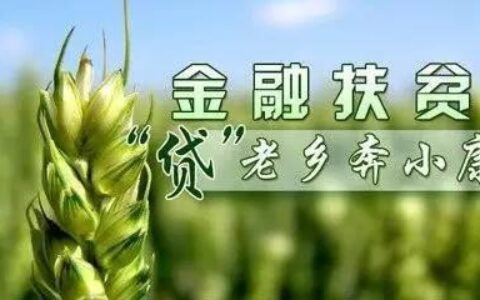 定远小额贷款：快速解决您的资金需求