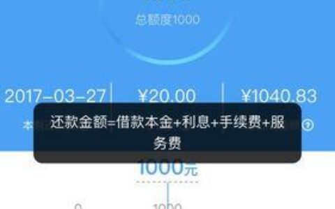 1000小额贷款都有哪些？