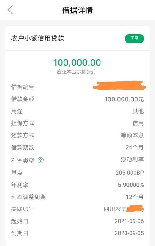 无视信用检查的小额贷款：如何获得快速资金