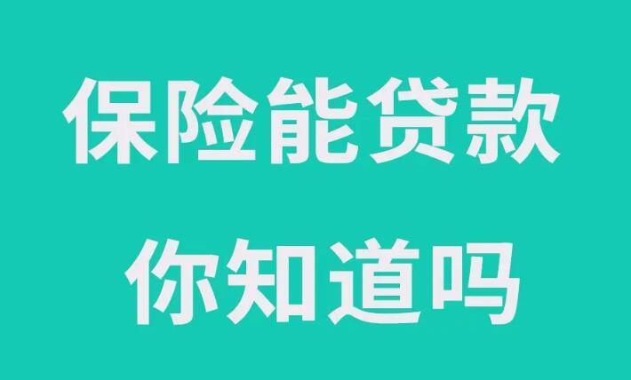 奉节小额贷款公司：助力小微企业发展，共创美好未来