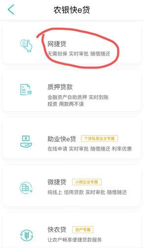 网络小额贷款：快速便捷的资金获取方式