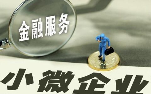 通州区小额贷款公司：助力小微企业发展