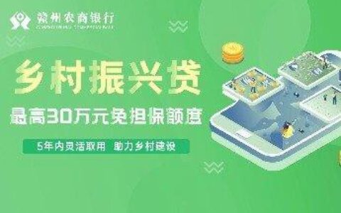 乡助小额贷款：助力乡村振兴的金融力量