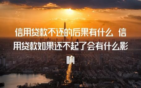 小额贷款不还会有什么后果？