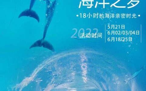 海洋分期贷款app：轻松实现您的海洋梦想