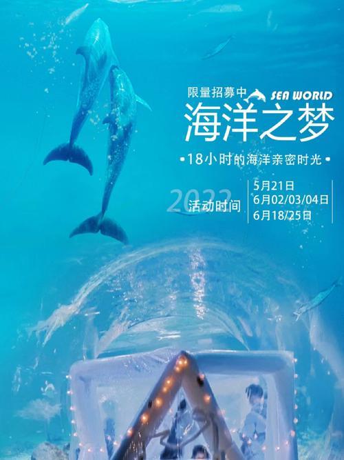 海洋分期贷款app：轻松实现您的海洋梦想