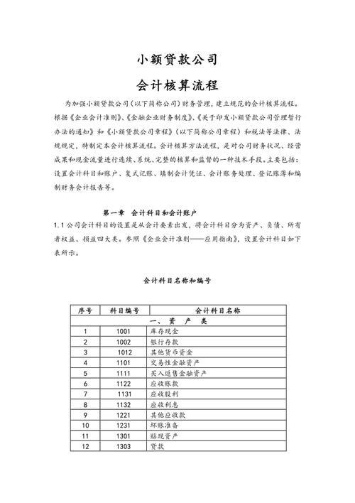 小额贷款企业会计账务处理