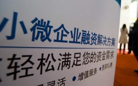 苏州小额贷款公司：助力小微企业发展