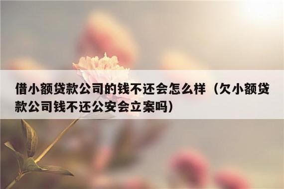 欠小额贷款公司的钱还不上怎么办？