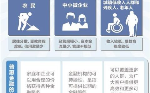 小额贷款案例分析：助力普惠金融，服务实体经济