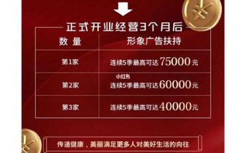 P2P网贷平台加盟：掘金新机遇，共创财富未来