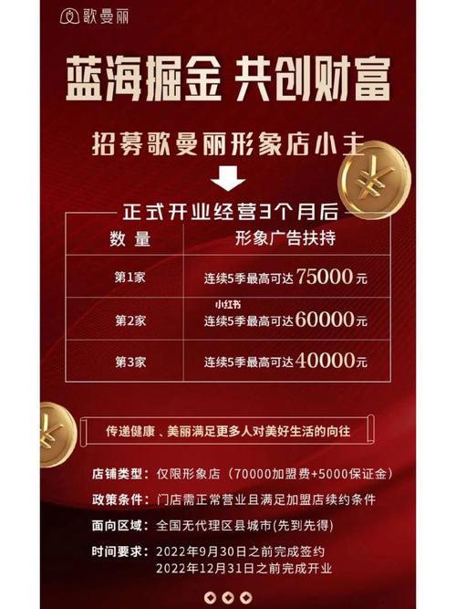 P2P网贷平台加盟：掘金新机遇，共创财富未来