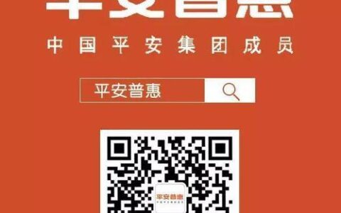 平安普惠小额贷款公司：助力小微企业和个人发展