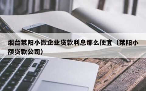 无锡小额贷款银行：助力小微企业，推动地方经济