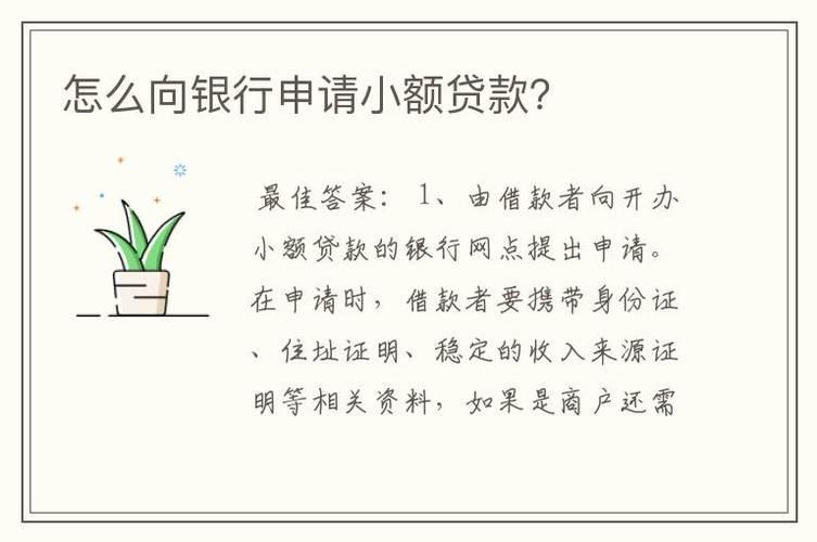 小额贷款，哪家银行更易申请？