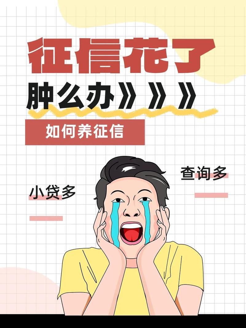 不查征信的分期网贷：真的存在吗？风险与选择