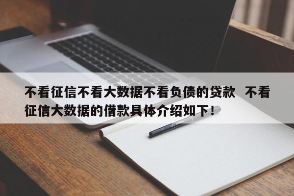 不看征信不看大数据的贷款2024真的存在吗？