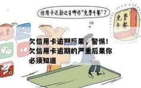 贷款逾期 vs 信用卡逾期： 别傻傻分不清了！