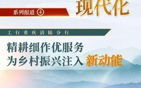 农村小额贷款网：为乡村振兴注入金融活水