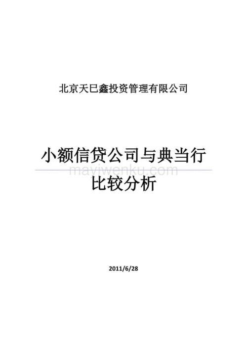 典当行 VS 小额贷款公司：哪种更适合你？