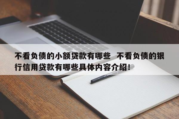 【深度解析】不查征信不查负债的网贷真的存在吗？