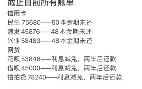 信用卡逾期还能借网贷吗？风险和建议全面解析